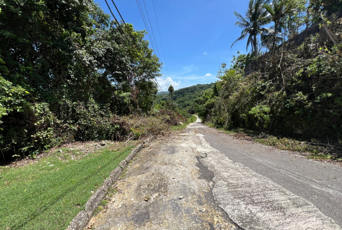 Twenty-Fifth image of Lot 22 Clarridge Hall in Spring Garden, St. James, Jamaica - property is For Sale