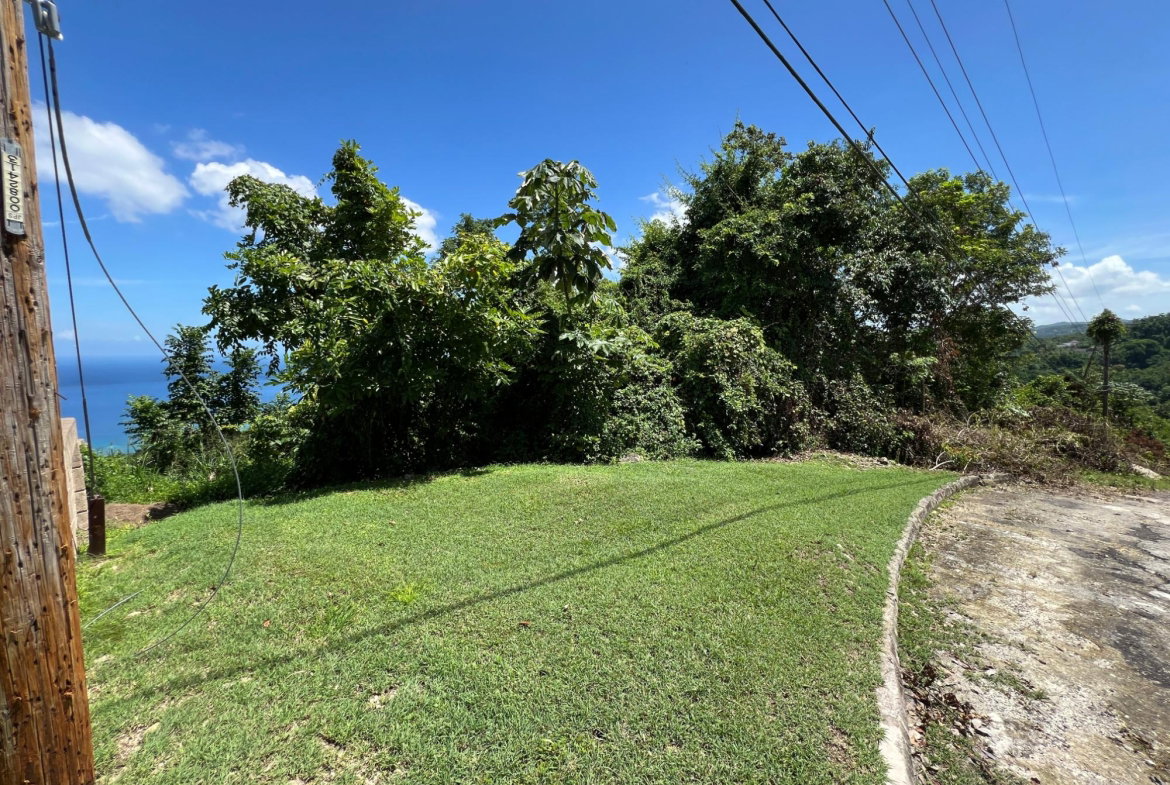Twenty-First image of Lot 23 Clarridge Hall in Spring Garden, St. James, Jamaica - property is For Sale