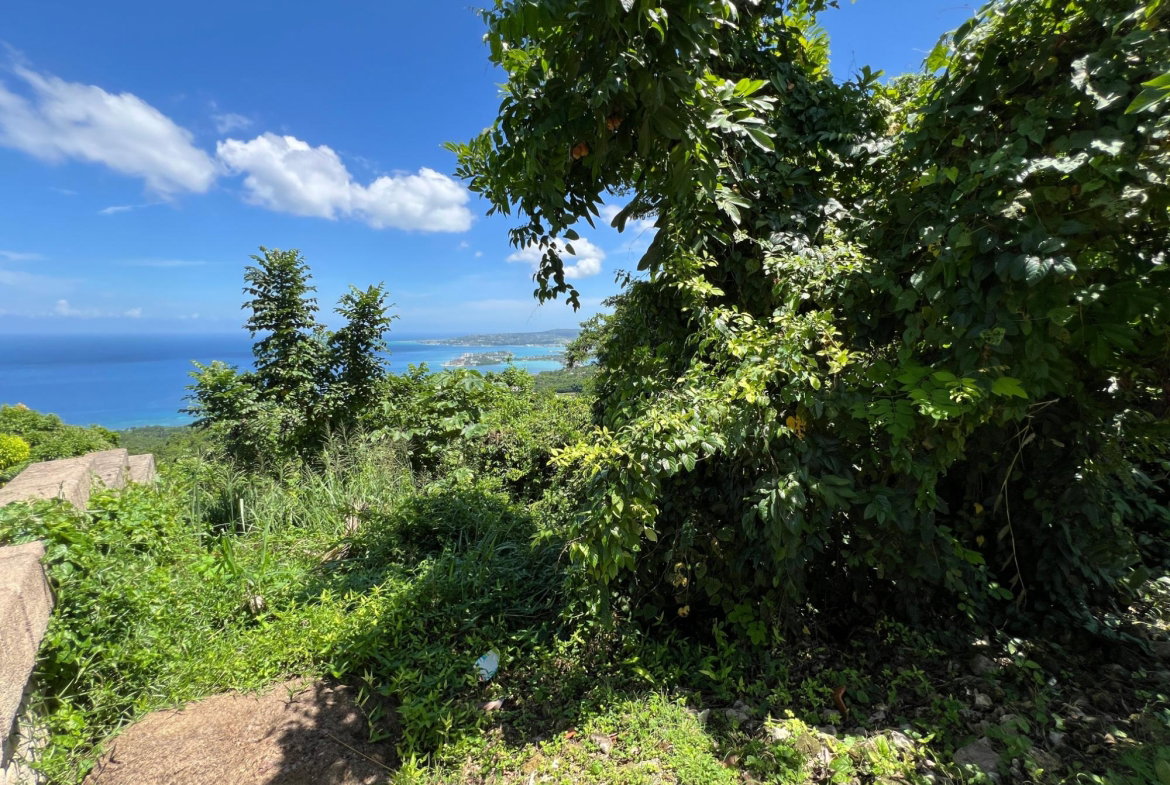 Twenty-Second image of Lot 23 Clarridge Hall in Spring Garden, St. James, Jamaica - property is For Sale