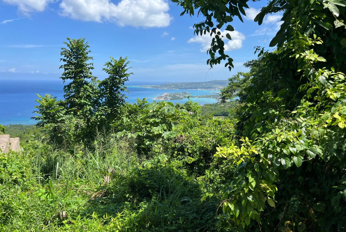 Twenty-Third image of Lot 23 Clarridge Hall in Spring Garden, St. James, Jamaica - property is For Sale