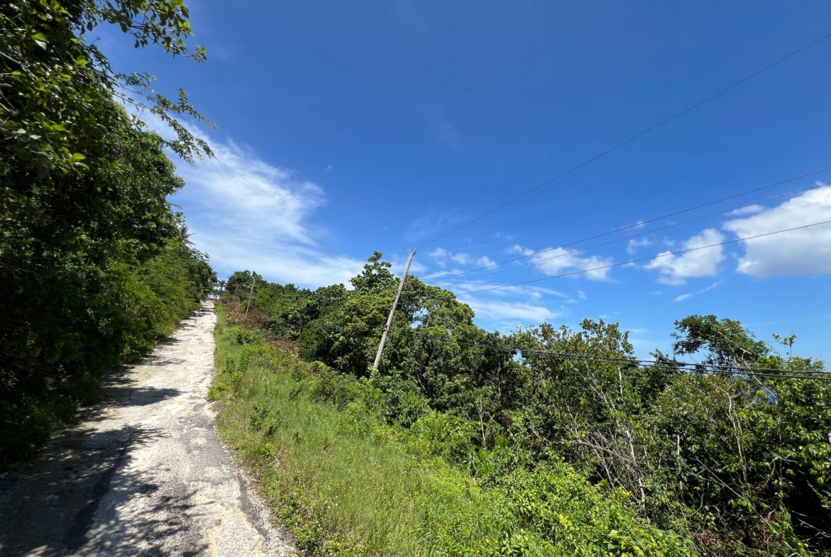 Thirtieth image of Lot 23 Clarridge Hall in Spring Garden, St. James, Jamaica - property is For Sale