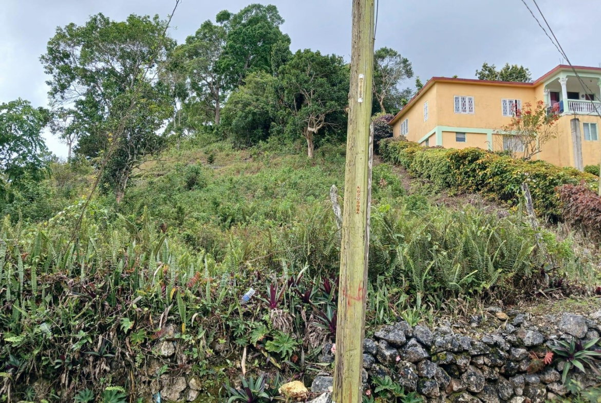 Second image of Green Hill, Alexandria, s in Alexandria, St. Ann, Jamaica - property is For Sale