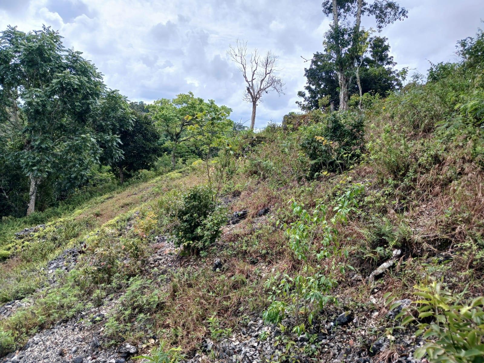 Residential-Lot-for-Sale-in-Green-Hill-Alexandria-St.-Ann-Jamaica Eleventh image of Green Hill, Alexandria, s in Alexandria, St. Ann, Jamaica - property is For Sale