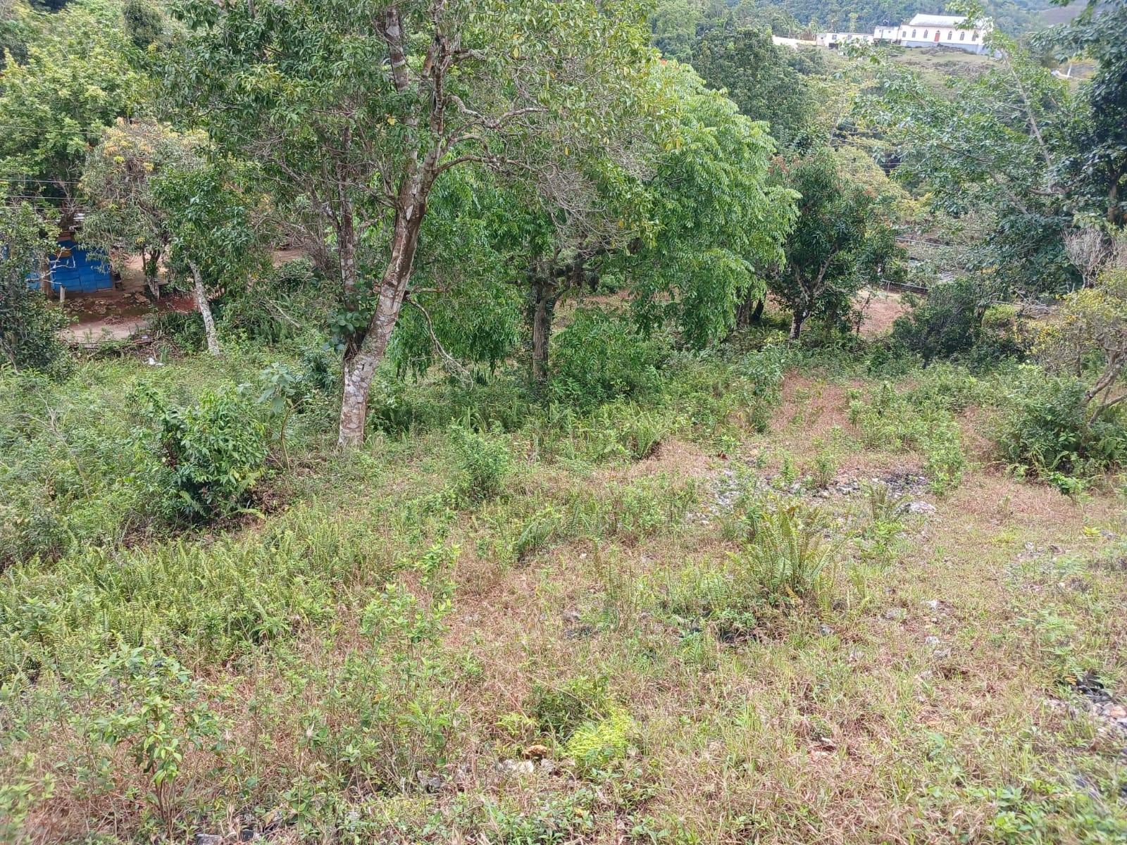 Residential-Lot-for-Sale-in-Green-Hill-Alexandria-St.-Ann-Jamaica Twelfth image of Green Hill, Alexandria, s in Alexandria, St. Ann, Jamaica - property is For Sale