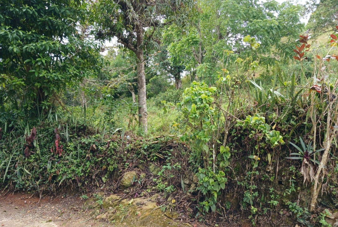 First image of Green Hill, Alexandria, s in Alexandria, St. Ann, Jamaica - property is For Sale