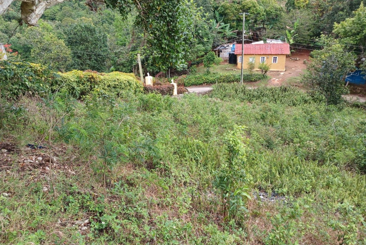 Thirteenth image of Green Hill, Alexandria, s in Alexandria, St. Ann, Jamaica - property is For Sale