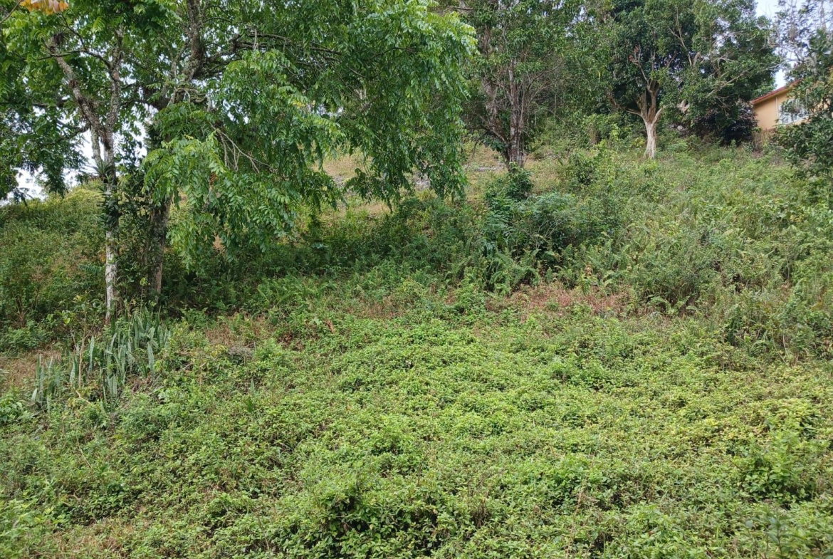 Fourth image of Green Hill, Alexandria, s in Alexandria, St. Ann, Jamaica - property is For Sale