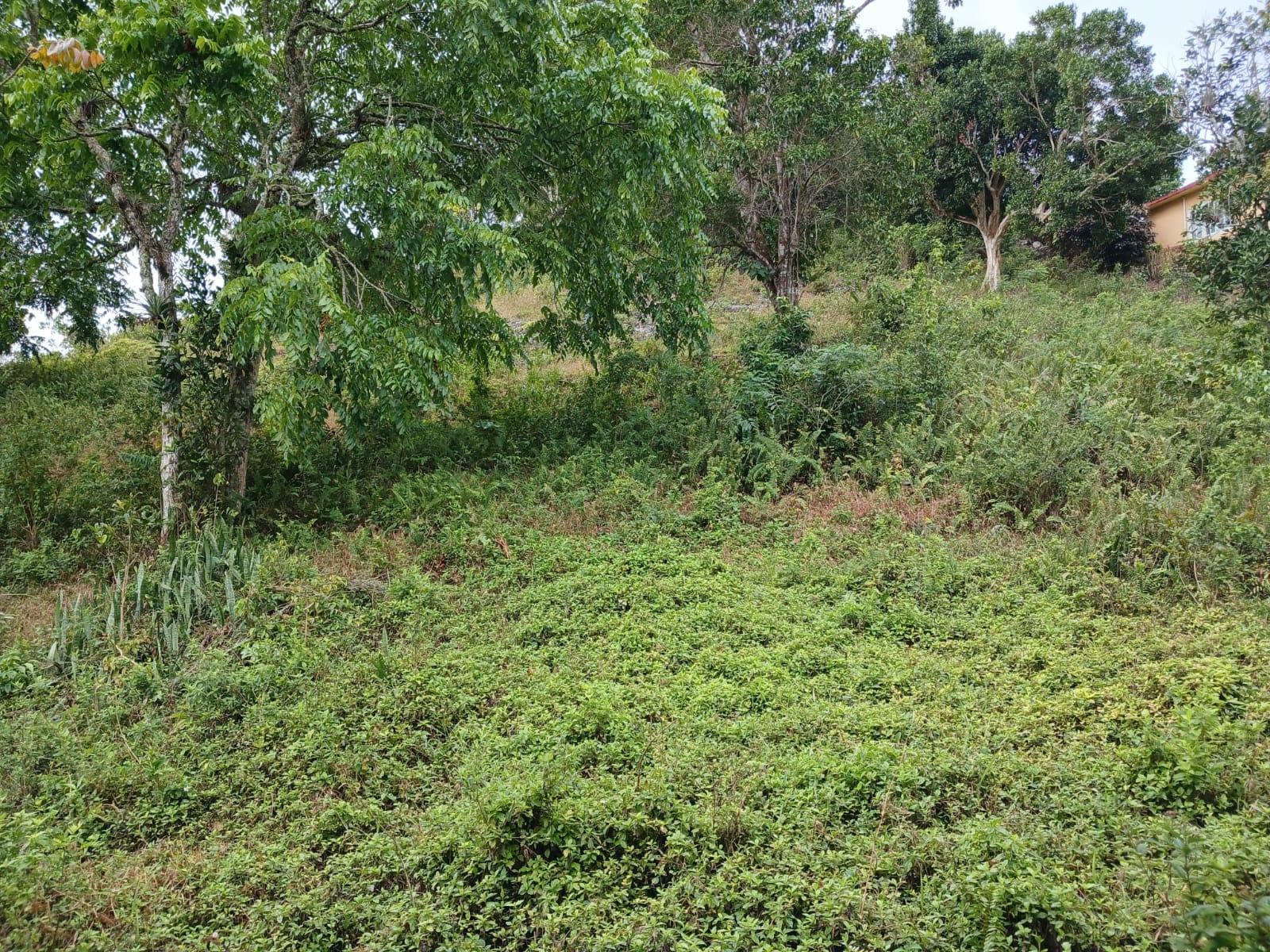 Residential-Lot-for-Sale-in-Green-Hill-Alexandria-St.-Ann-Jamaica Fourth image of Green Hill, Alexandria, s in Alexandria, St. Ann, Jamaica - property is For Sale