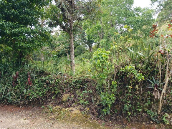 First image of Green Hill, Alexandria, s in Alexandria, St. Ann, Jamaica - property is For Sale