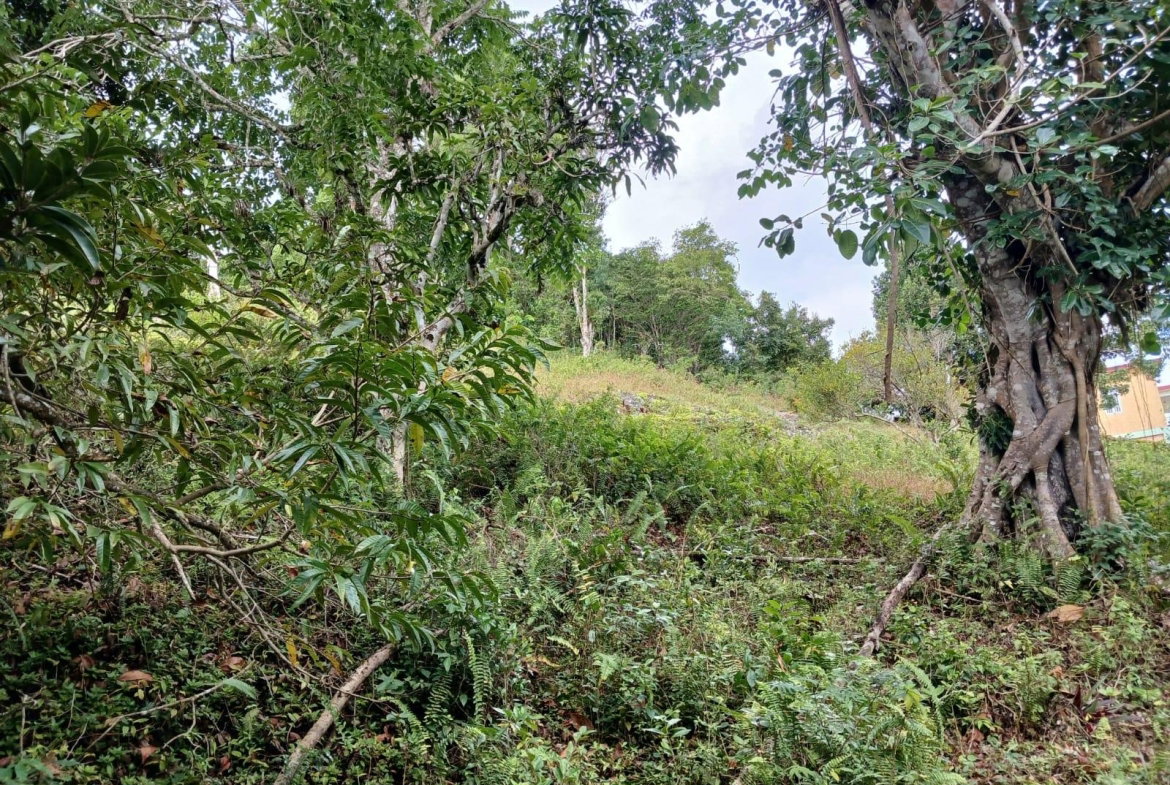 Seventh image of Green Hill, Alexandria, s in Alexandria, St. Ann, Jamaica - property is For Sale