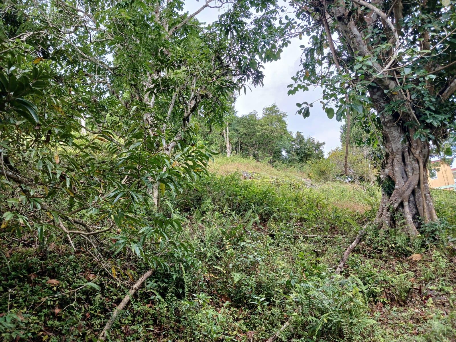 Residential-Lot-for-Sale-in-Green-Hill-Alexandria-St.-Ann-Jamaica Seventh image of Green Hill, Alexandria, s in Alexandria, St. Ann, Jamaica - property is For Sale