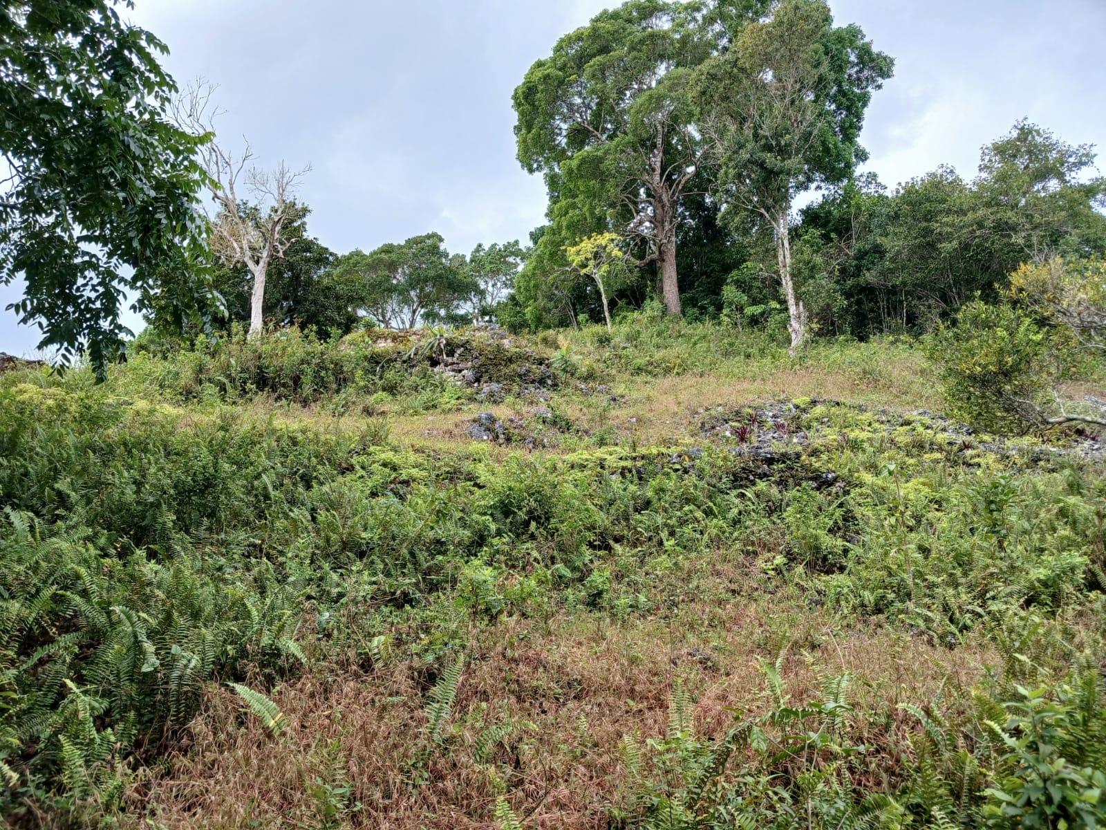 Residential-Lot-for-Sale-in-Green-Hill-Alexandria-St.-Ann-Jamaica Tenth image of Green Hill, Alexandria, s in Alexandria, St. Ann, Jamaica - property is For Sale