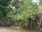 First image of Green Hill, Alexandria, s in Alexandria, St. Ann, Jamaica - property is For Sale