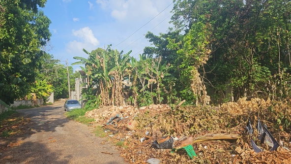 Second image of Lot 330- Lilliput, St. James in Rose Hall, St. James, Jamaica - property is For Sale