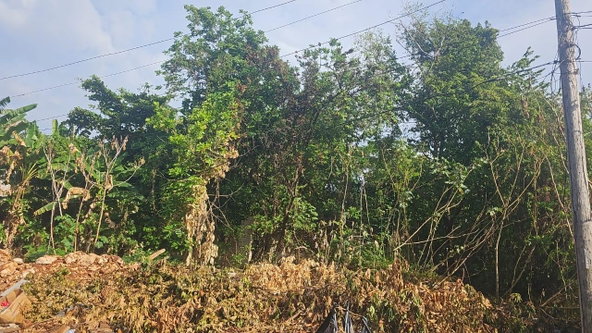 Third image of Lot 330- Lilliput, St. James in Rose Hall, St. James, Jamaica - property is For Sale