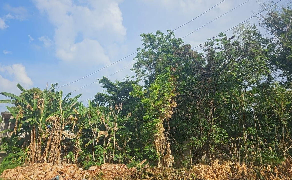 Fourth image of Lot 330- Lilliput, St. James in Rose Hall, St. James, Jamaica - property is For Sale