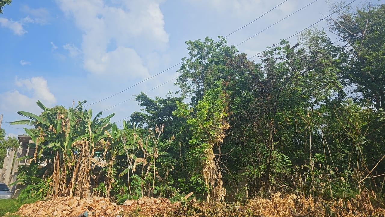 Residential-Lot-for-Sale-in-Lilliput-Montego-Bay-–-Prime-Location-Near-Beaches-Iberostar Fourth image of Lot 330- Lilliput, St. James in Rose Hall, St. James, Jamaica - property is For Sale