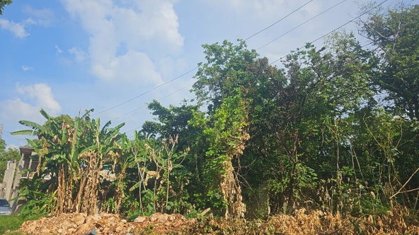 Fourth image of Lot 330- Lilliput, St. James in Rose Hall, St. James, Jamaica - property is For Sale