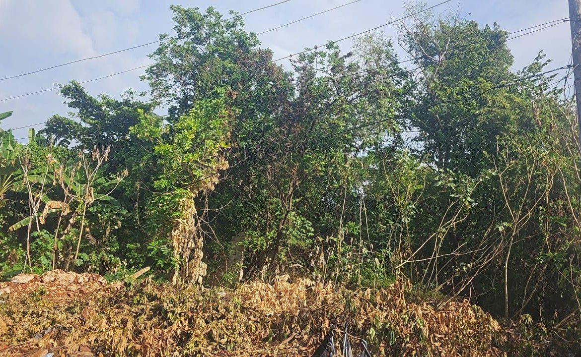 Fifth image of Lot 330- Lilliput, St. James in Rose Hall, St. James, Jamaica - property is For Sale