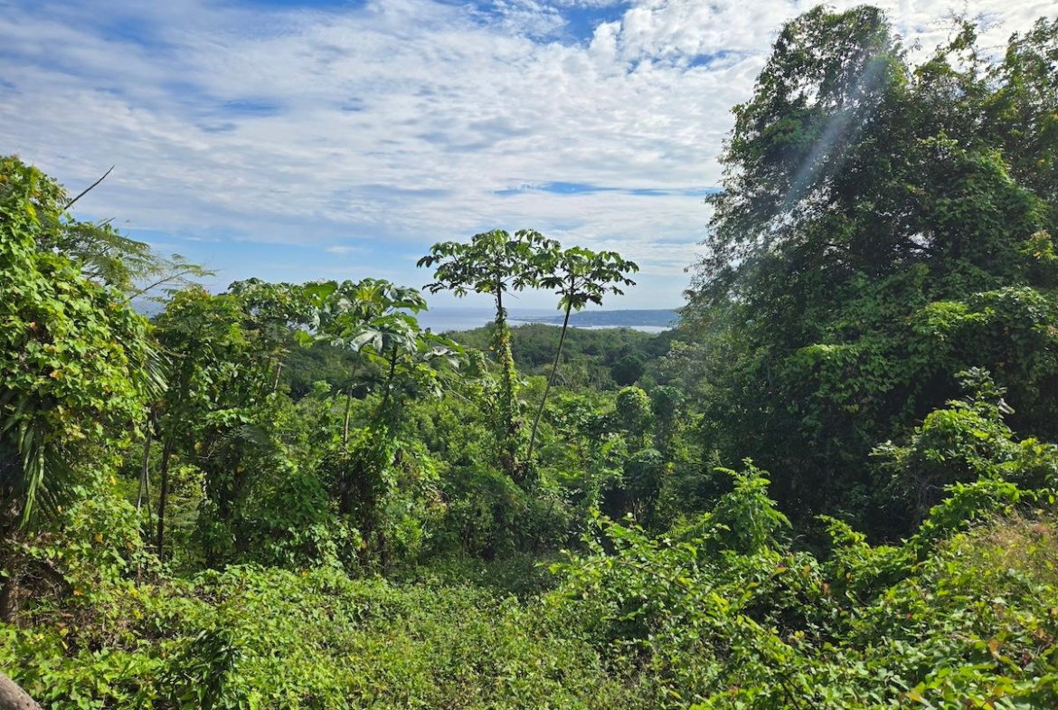 Second image of 29 Margherita Way , Unity ha in Unity Hall, St. James, Jamaica - property is For Sale