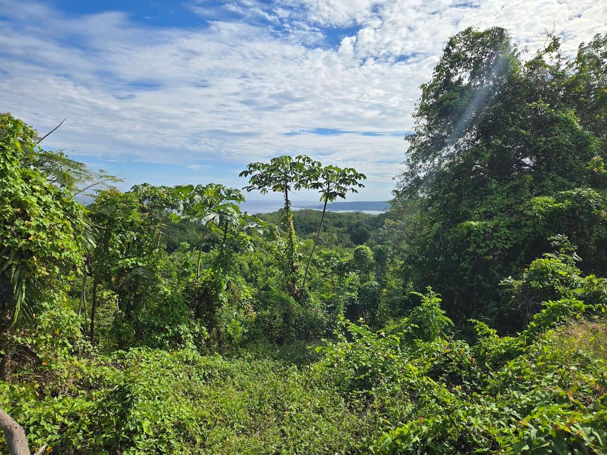 Second image of 29 Margherita Way , Unity ha in Unity Hall, St. James, Jamaica - property is For Sale