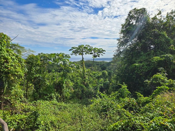 Second image of 29 Margherita Way , Unity ha in Unity Hall, St. James, Jamaica - property is For Sale