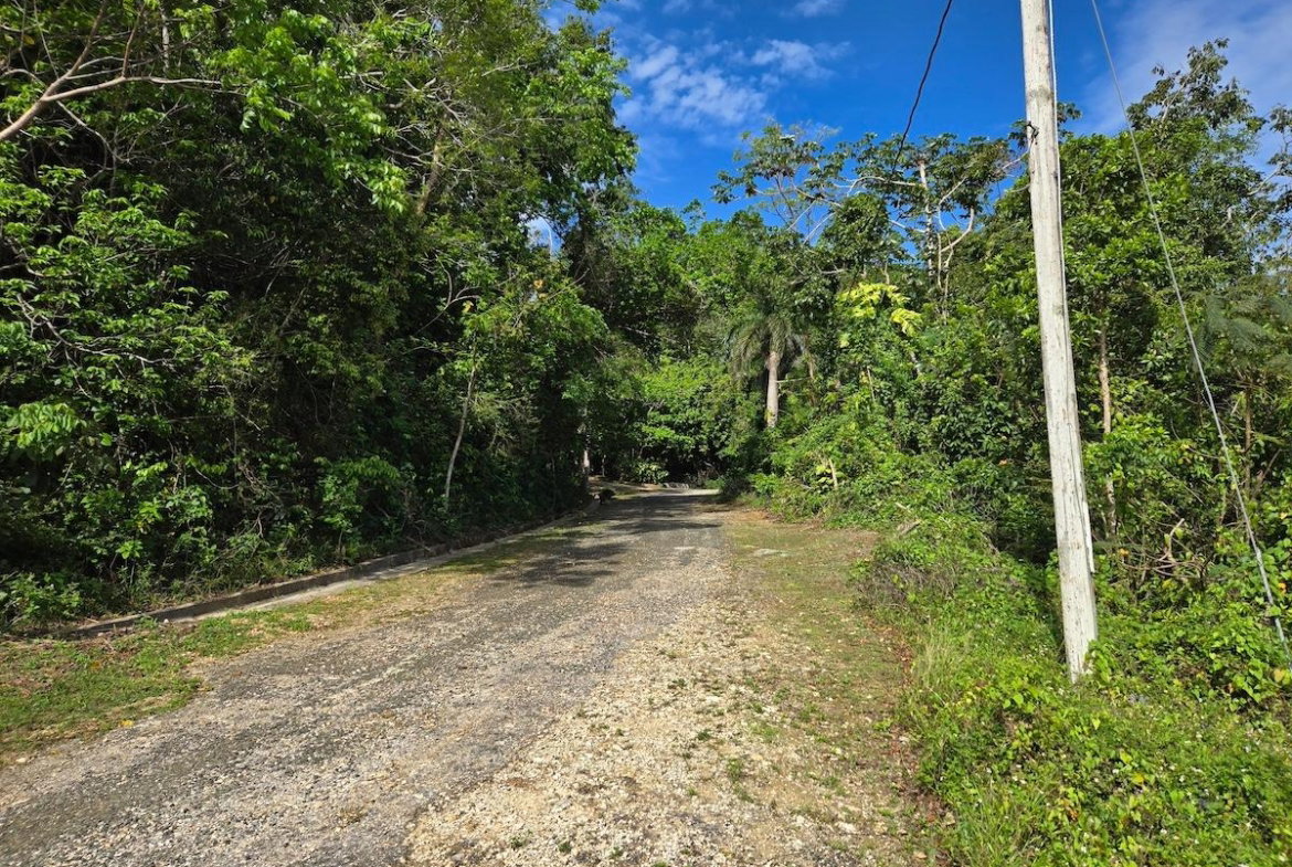 Third image of 29 Margherita Way , Unity ha in Unity Hall, St. James, Jamaica - property is For Sale