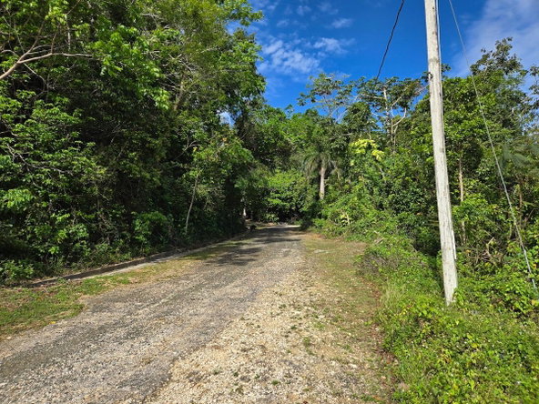Third image of 29 Margherita Way , Unity ha in Unity Hall, St. James, Jamaica - property is For Sale