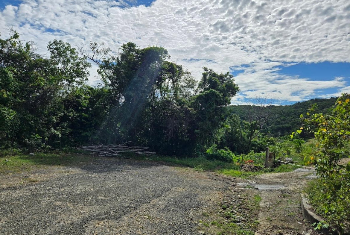 Fourth image of 29 Margherita Way , Unity ha in Unity Hall, St. James, Jamaica - property is For Sale