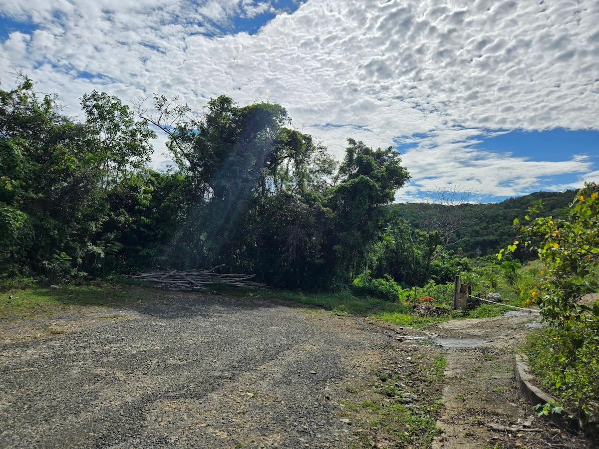 Fourth image of 29 Margherita Way , Unity ha in Unity Hall, St. James, Jamaica - property is For Sale