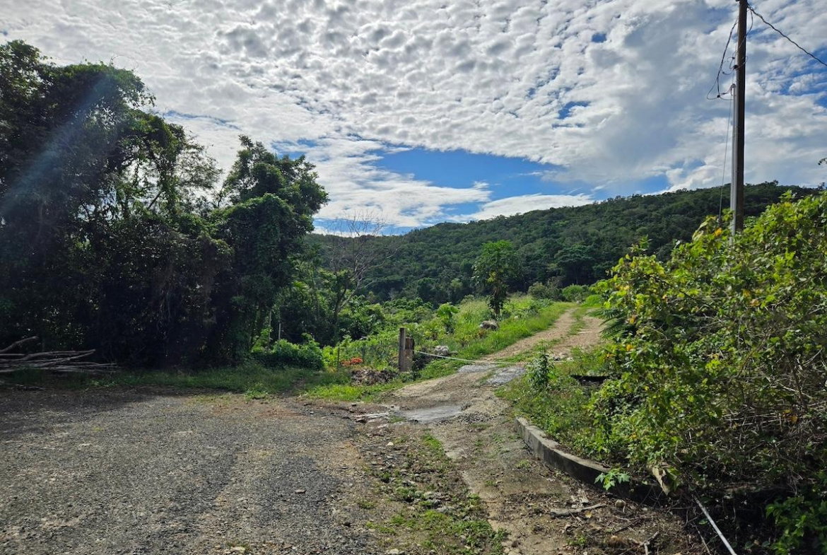 Fifth image of 29 Margherita Way , Unity ha in Unity Hall, St. James, Jamaica - property is For Sale