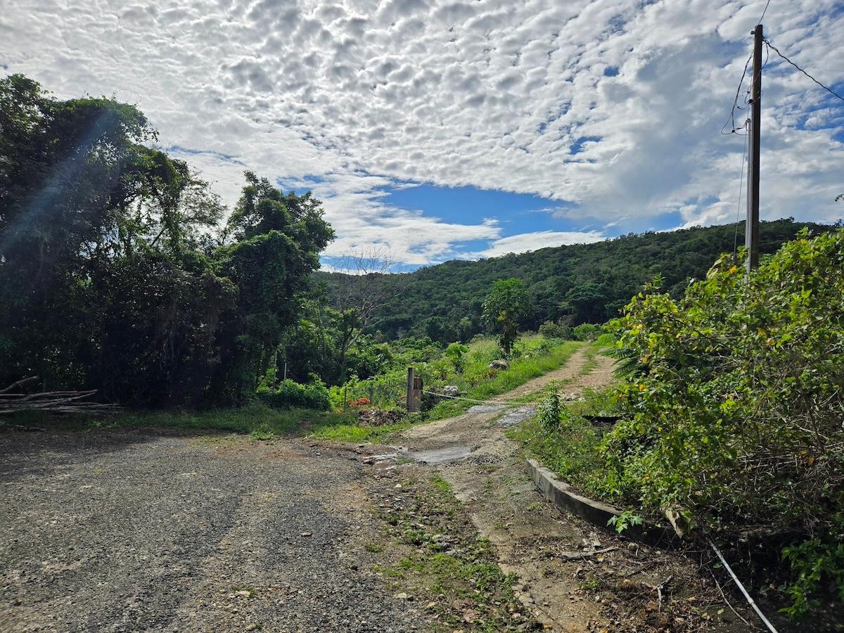Fifth image of 29 Margherita Way , Unity ha in Unity Hall, St. James, Jamaica - property is For Sale