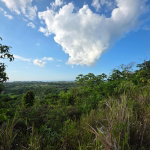 First image of 4 Minard in Browns Town, St. Ann, Jamaica - property is For Sale