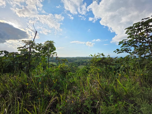 Sixth image of 4 Minard in Browns Town, St. Ann, Jamaica - property is For Sale
