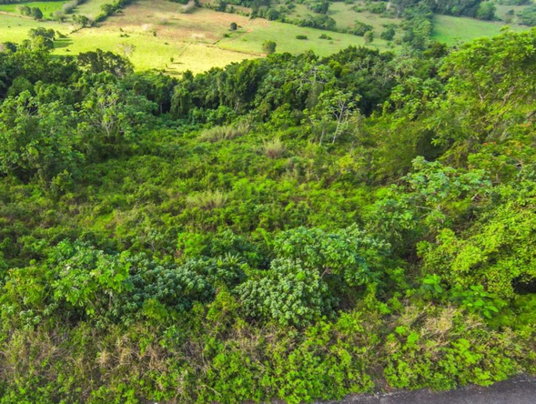 Seventh image of 4 Minard in Browns Town, St. Ann, Jamaica - property is For Sale