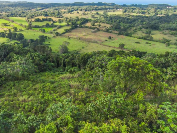 Eighth image of 4 Minard in Browns Town, St. Ann, Jamaica - property is For Sale