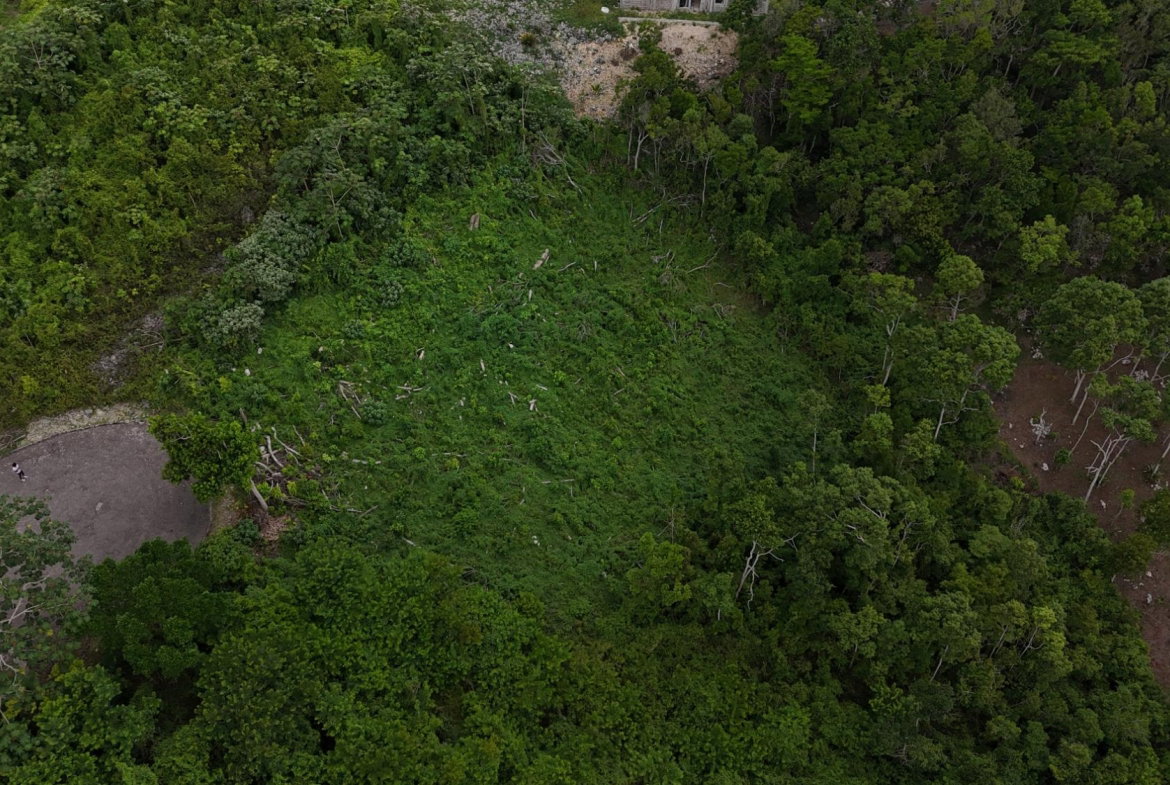 Fifth image of 182 Moorlands Estate in Knockpatrick, Manchester, Jamaica - property is For Sale