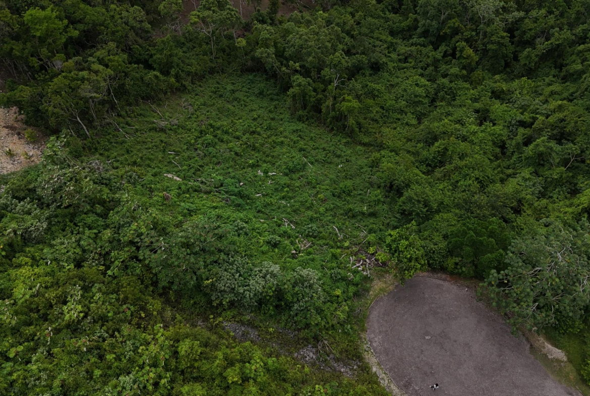 Sixth image of 182 Moorlands Estate in Knockpatrick, Manchester, Jamaica - property is For Sale