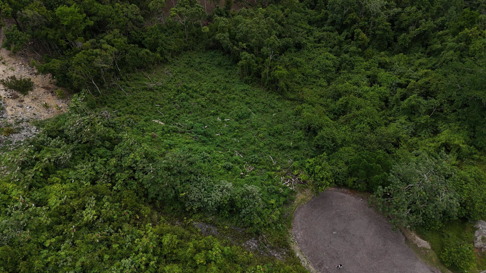 Residential-Lot-for-Sale-in-Moorland-Estate-Manchester-Jamaica Sixth image of 182 Moorlands Estate in Knockpatrick, Manchester, Jamaica - property is For Sale