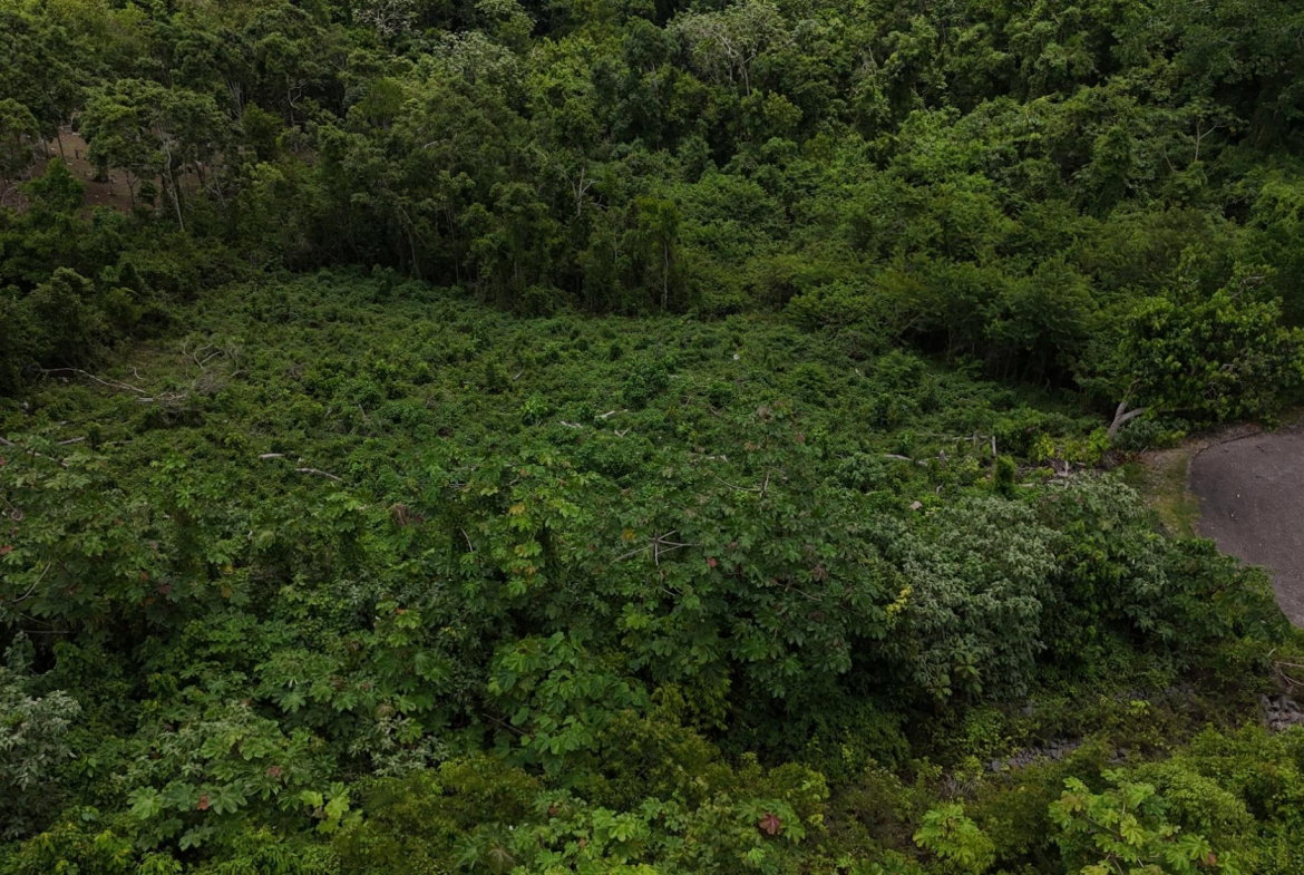 Tenth image of 182 Moorlands Estate in Knockpatrick, Manchester, Jamaica - property is For Sale