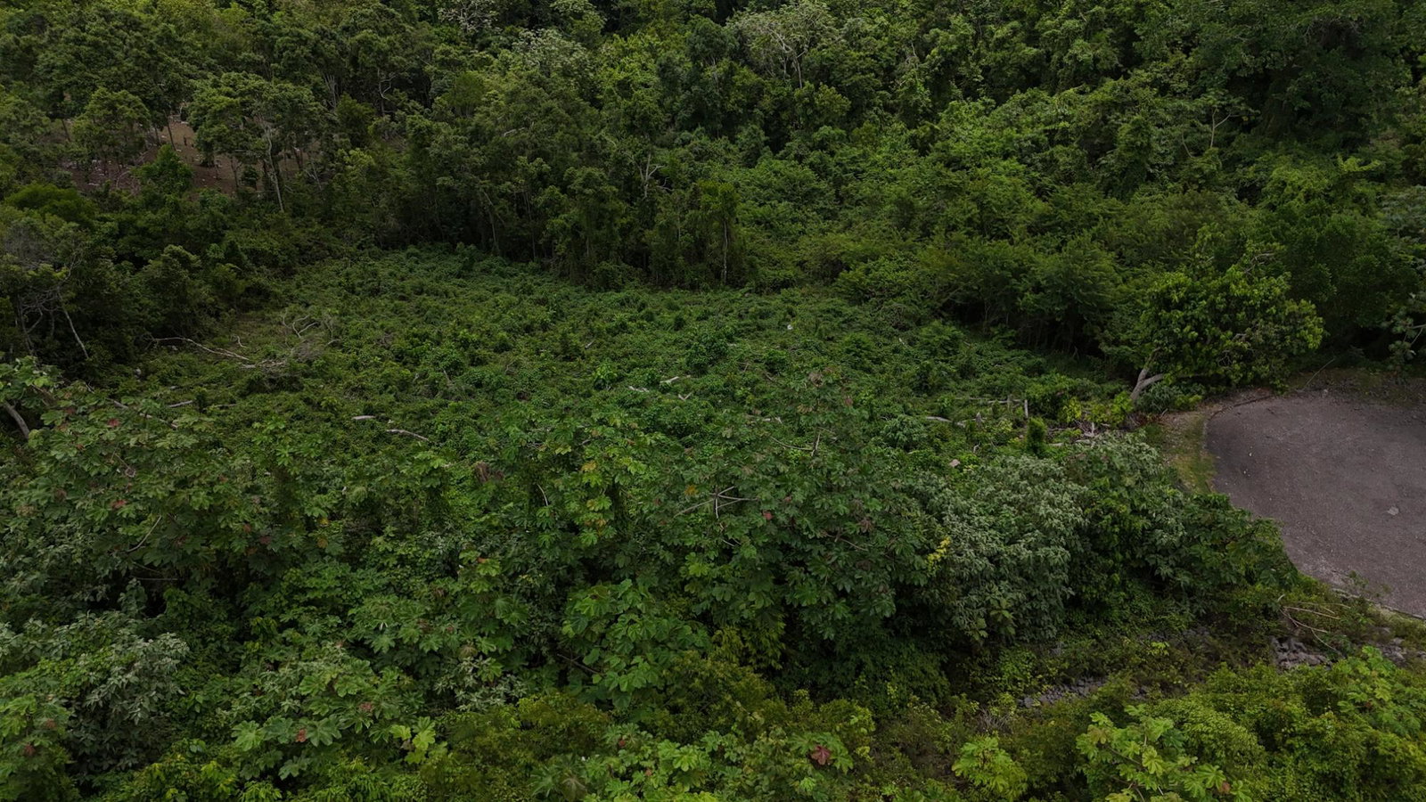 Residential-Lot-for-Sale-in-Moorland-Estate-Manchester-Jamaica Tenth image of 182 Moorlands Estate in Knockpatrick, Manchester, Jamaica - property is For Sale