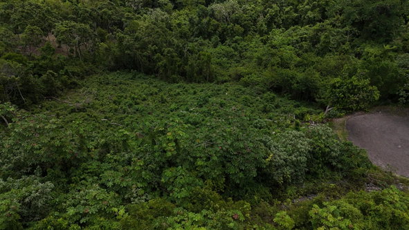 Tenth image of 182 Moorlands Estate in Knockpatrick, Manchester, Jamaica - property is For Sale