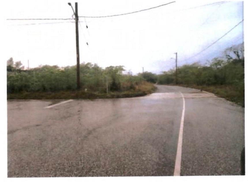 Second image of Lot 337 Palmbrook Estate, Cashoo, in Lacovia, St. Elizabeth, Jamaica - property is For Sale