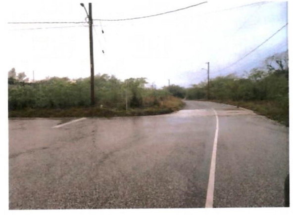 Second image of Lot 337 Palmbrook Estate, Cashoo, in Lacovia, St. Elizabeth, Jamaica - property is For Sale
