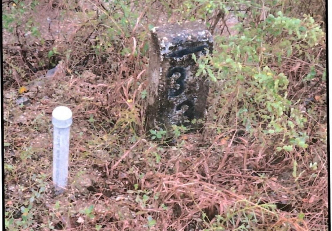 First image of Lot 337 Palmbrook Estate, Cashoo, in Lacovia, St. Elizabeth, Jamaica - property is For Sale
