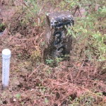 First image of Lot 337 Palmbrook Estate, Cashoo, in Lacovia, St. Elizabeth, Jamaica - property is For Sale