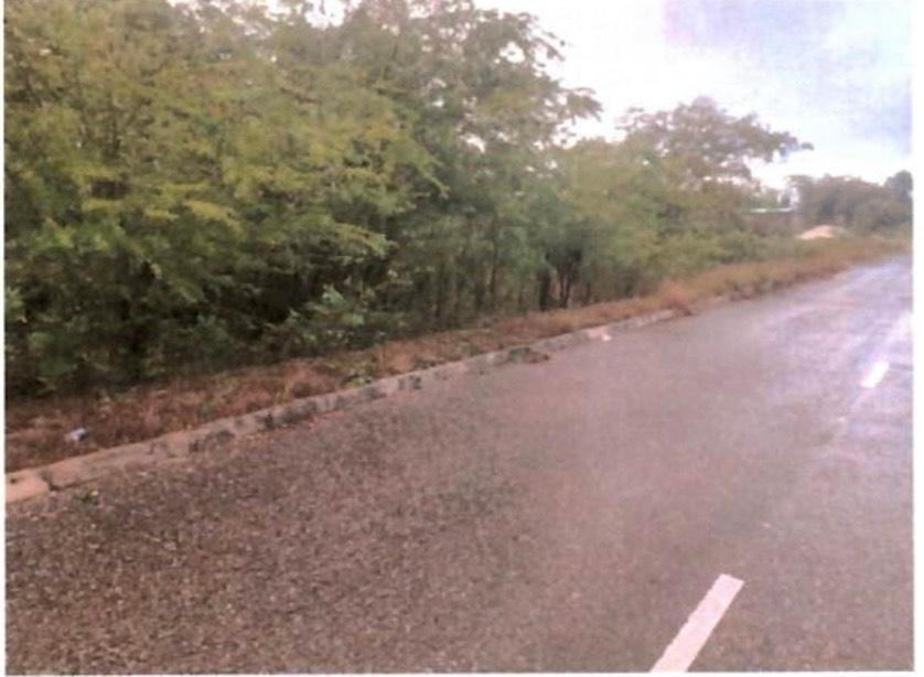 Third image of Lot 337 Palmbrook Estate, Cashoo, in Lacovia, St. Elizabeth, Jamaica - property is For Sale
