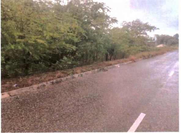 Third image of Lot 337 Palmbrook Estate, Cashoo, in Lacovia, St. Elizabeth, Jamaica - property is For Sale