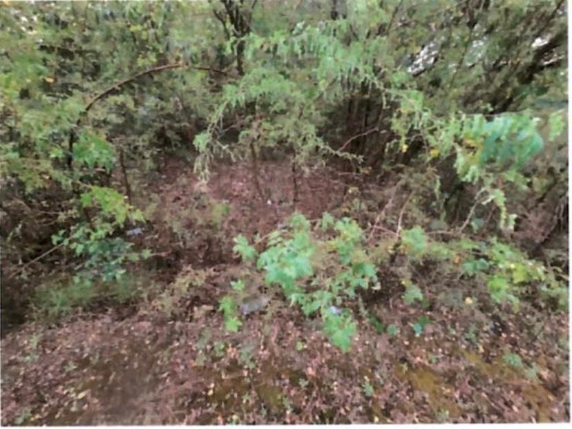 Fourth image of Lot 337 Palmbrook Estate, Cashoo, in Lacovia, St. Elizabeth, Jamaica - property is For Sale