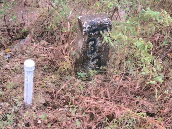 First image of Lot 337 Palmbrook Estate, Cashoo, in Lacovia, St. Elizabeth, Jamaica - property is For Sale